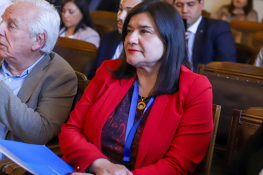 Directora de Educación Municipal, Pilar Sazo, entrega al concejo el PADEM 2026.
